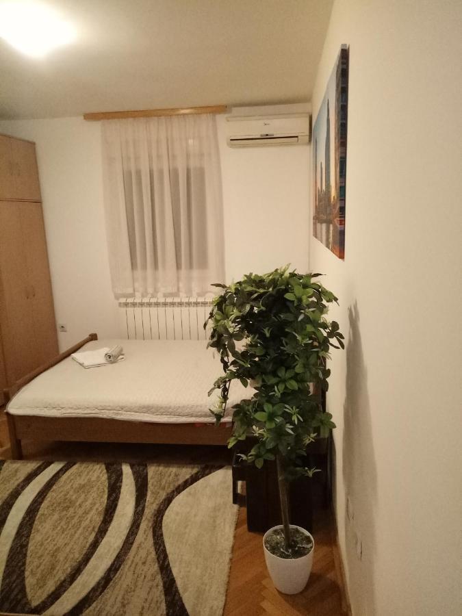 Cozy Studio Bělehrad Exteriér fotografie