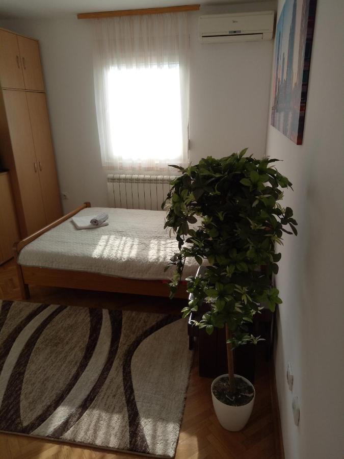 Cozy Studio Bělehrad Exteriér fotografie